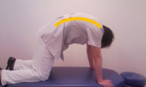 腰痛予防体操（ネコ体操）　背中を丸める