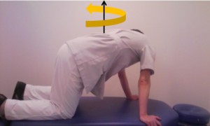 腰痛予防体操（ネコ体操）　左に曲げる