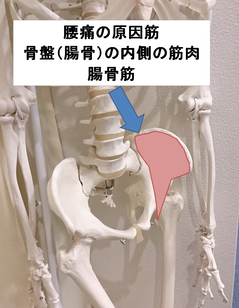 左の骨盤が痛い 抱っこのし過ぎで 横浜鶴見の整体 てらお整体院 自律神経の不調 痛みの改善で人気