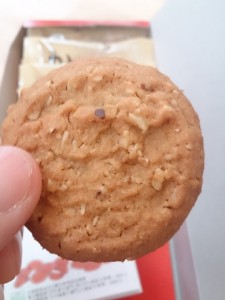 カラス麦クッキー (2)